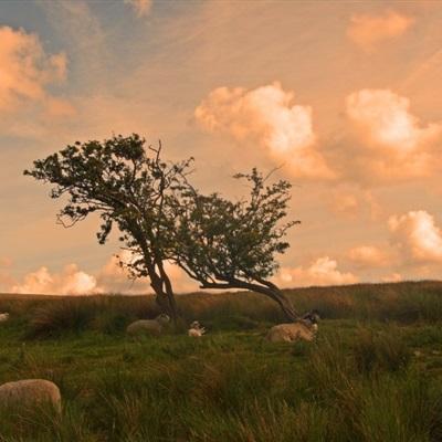 星空下载手机app下载