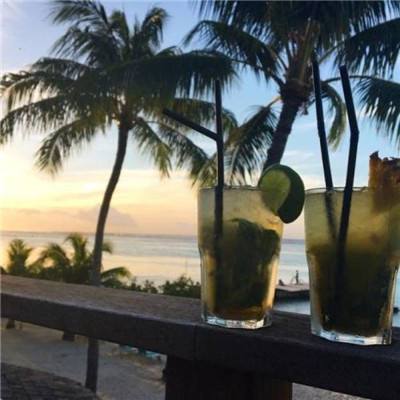 星空体育APP下载手机版截图