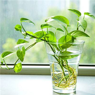 开玩棋牌下载手机版