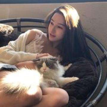 帝一娱乐下载手机版